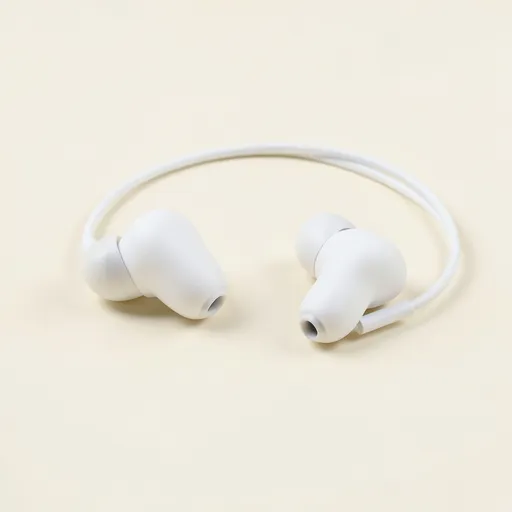 earphones